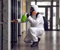 Biohazard Mold Removal in Woodbury, MN